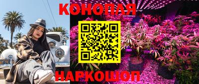 PSILOCYBIN Лесосибирск