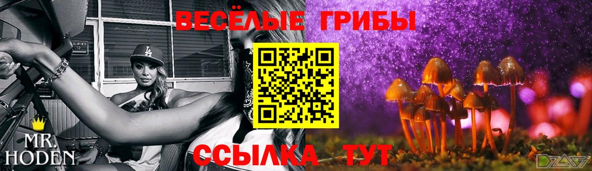 Псилоцибиновые грибы мицелий Всеволожск