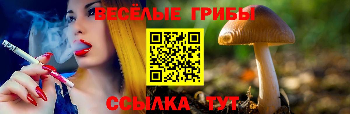 Галлюциногенные грибы Magic Shrooms  Вход с VPN  Псилоцибиновые грибы ЛСД  Всеволожск 